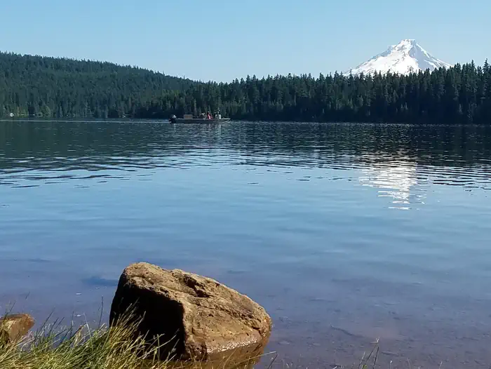 View of Mount Hood from Gone Creek