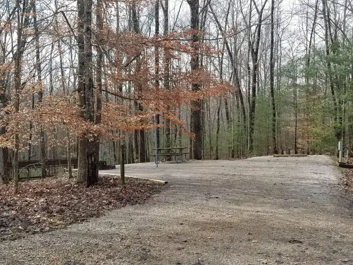 Picnic table sits on gravel pad near woodline.