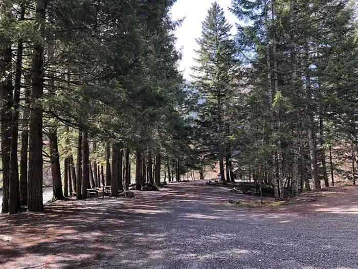 Gravel road lined by tall trees at entrance to Gorge Lake Campground
