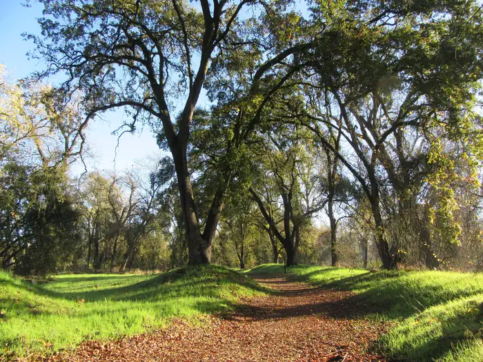 Valley Oak Recreation Area Trail