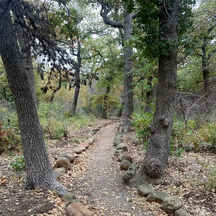 Stones lines the edges of a trail through the woods inviting exploration.