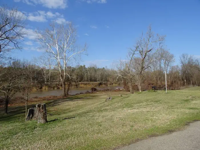 Rattan river bank