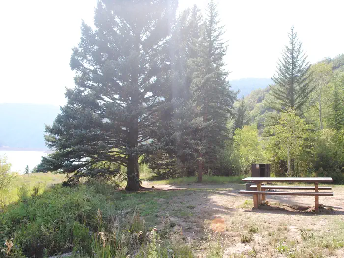 Little Mattie Site 1 View