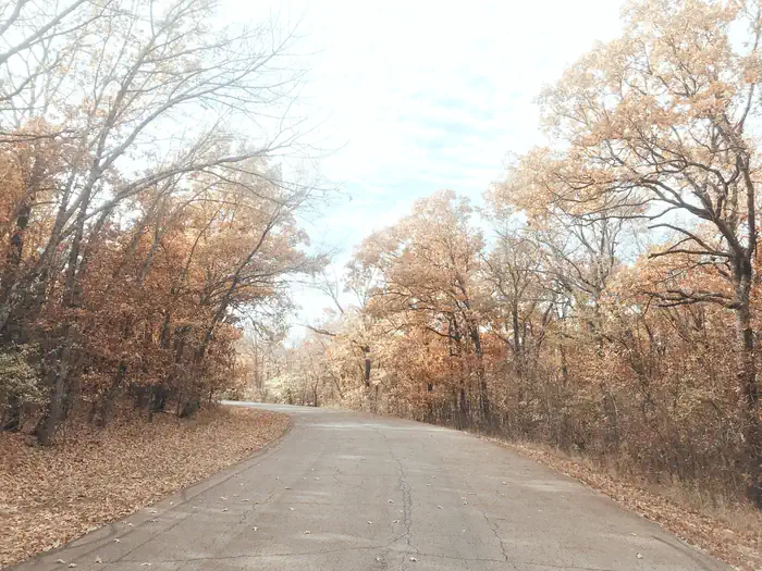 Redbud Bay in the fall