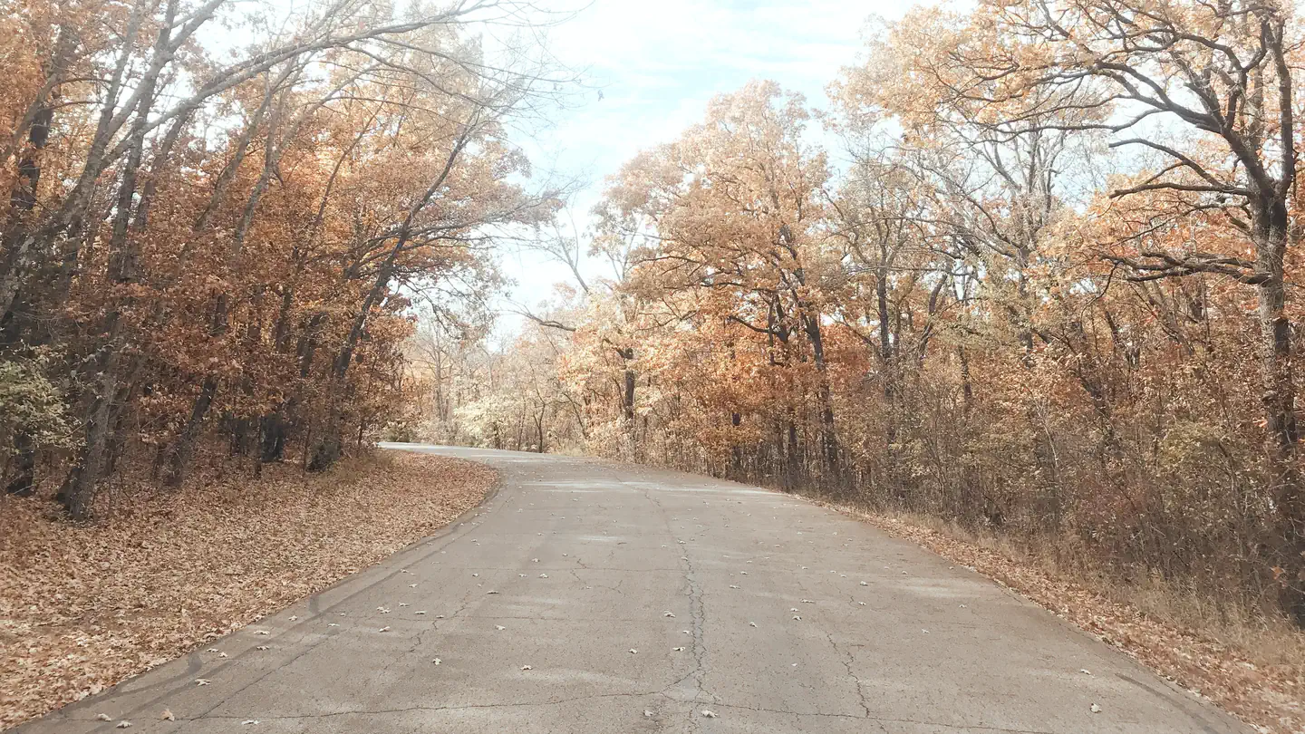 Redbud Bay