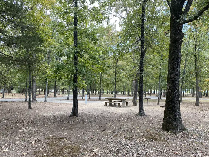 Cherokee Park