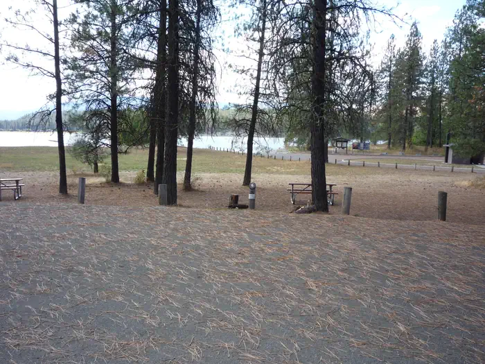 The photo shows a pine‑covered campground area with picnic tables and a fire ring overlooking a lake, with the boat launch and shoreline visible in the background.