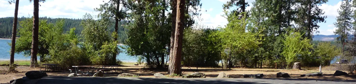 Beautiful campground along the shoreline. Trees and Lake in back ground.