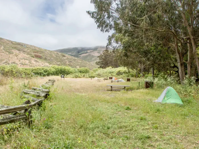 A large grassy field with multiple campsites that are roughly 11 feet apart.