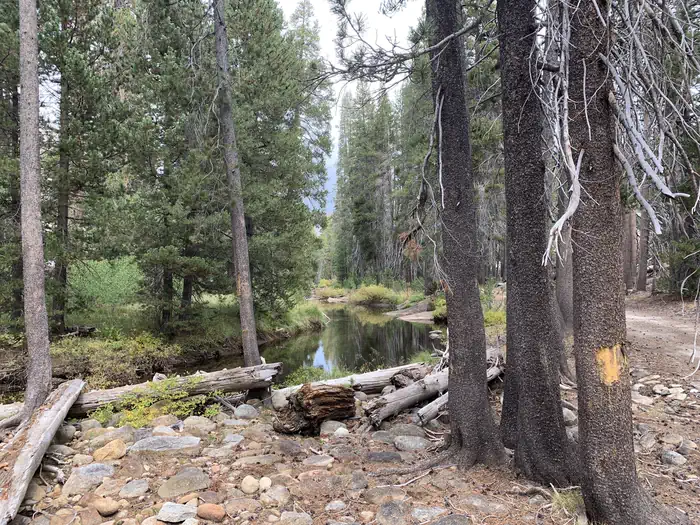 A photo of the creek Yosemite Creek Campground