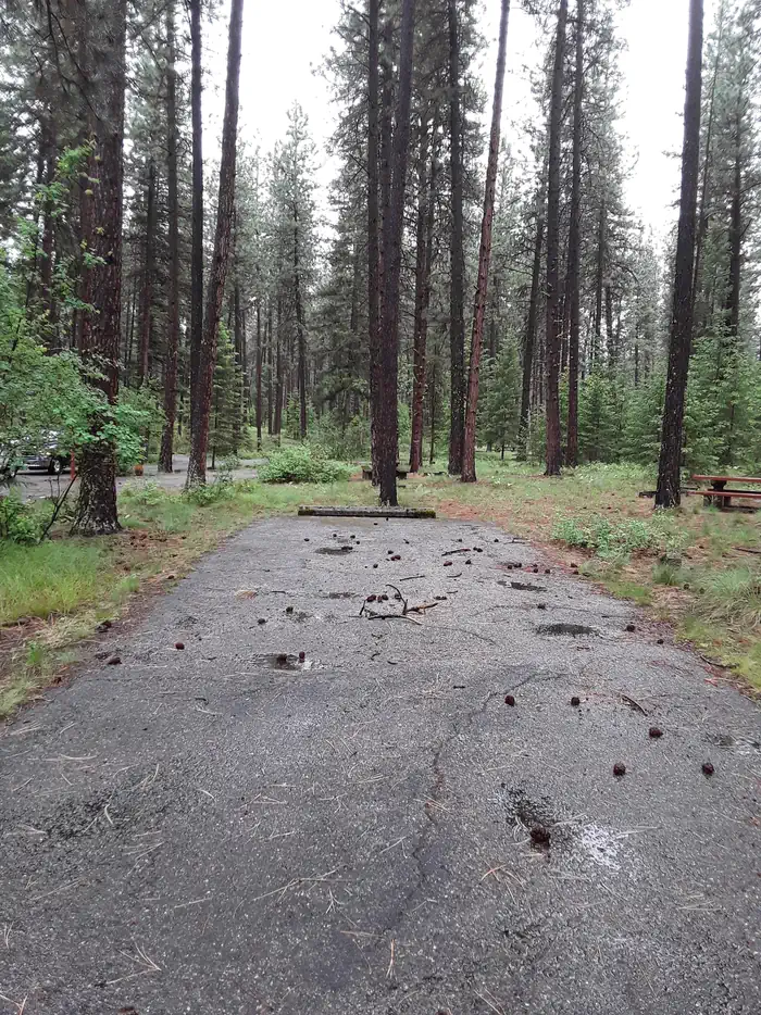 Loop C, Site 10