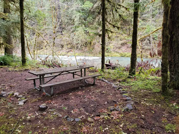 Day-Use picnic table