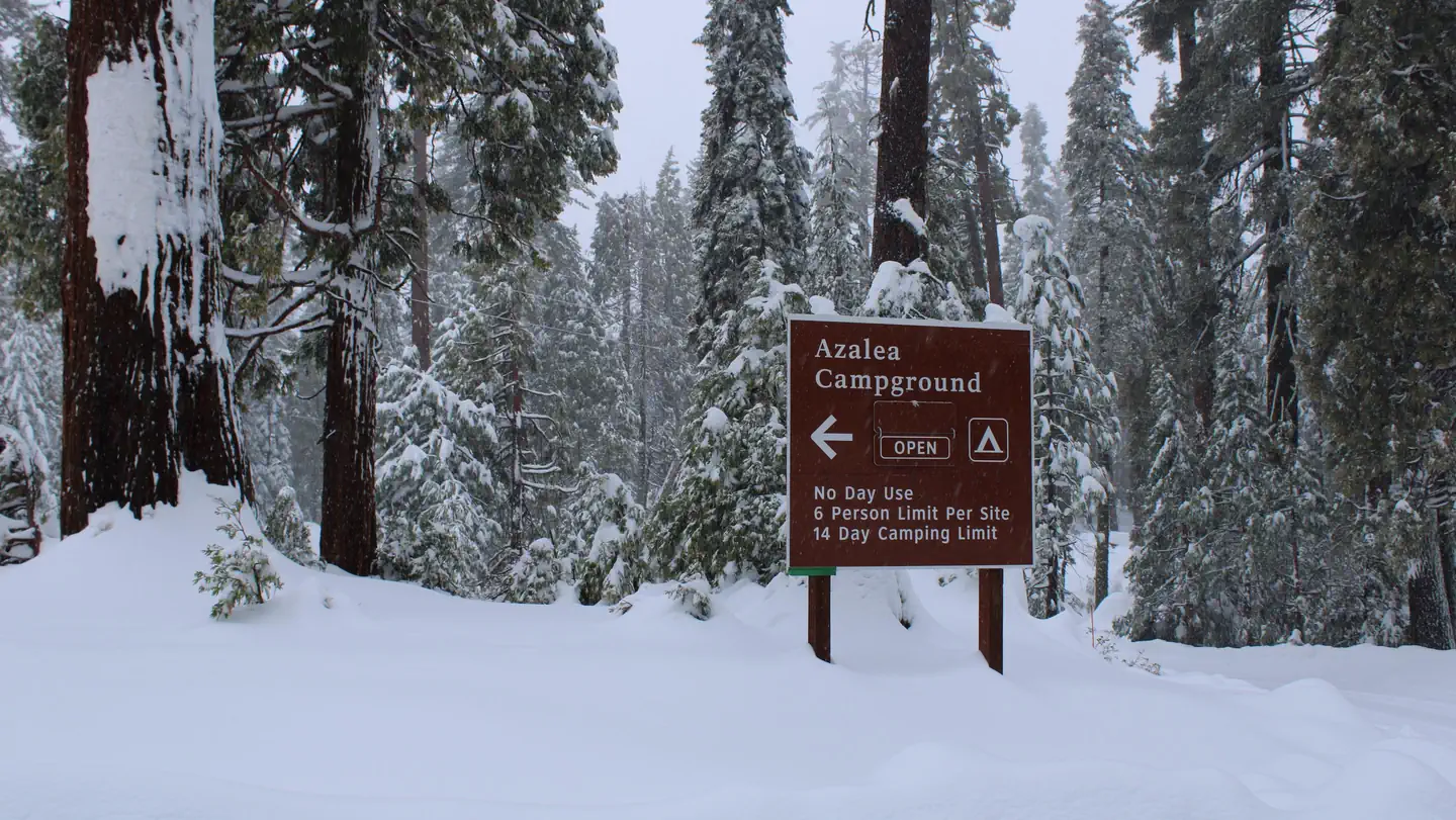 Azalea Campground