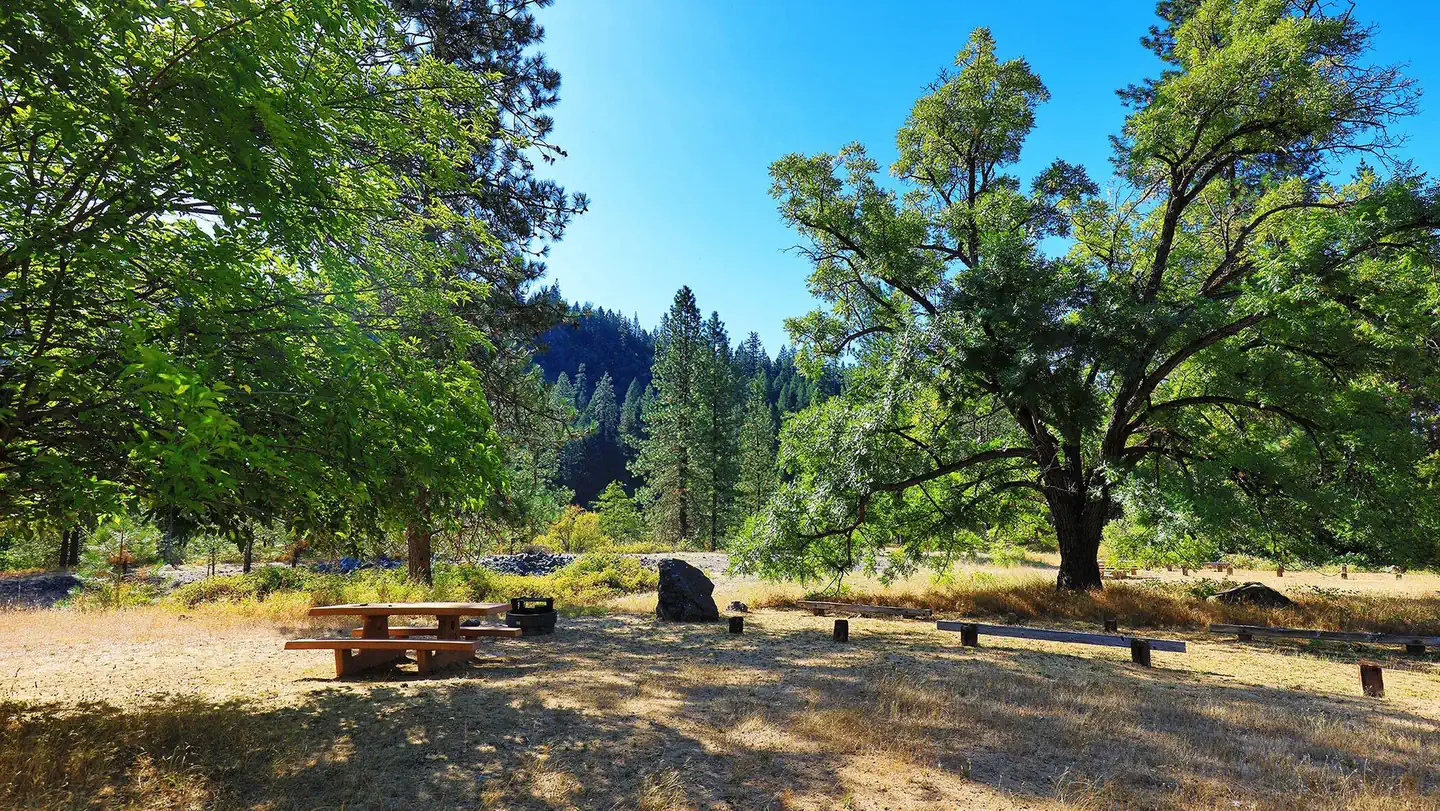 MCCLOUD BRIDGE