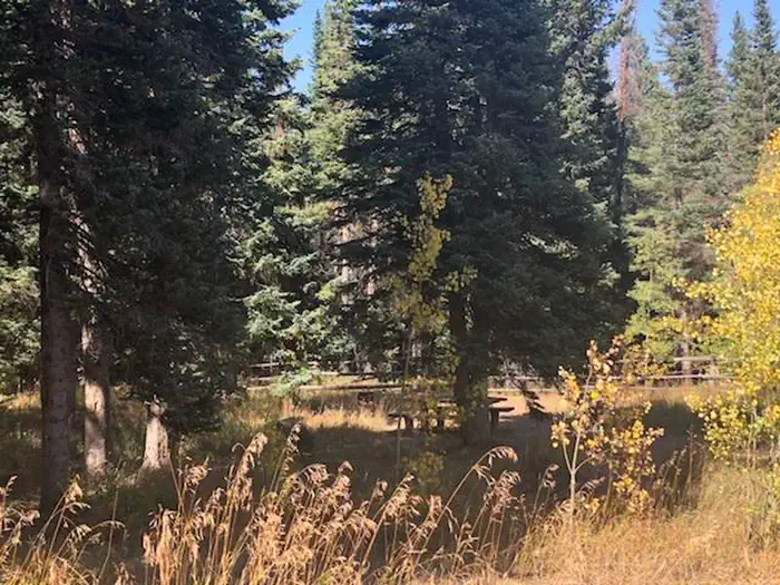Tie City Campsite