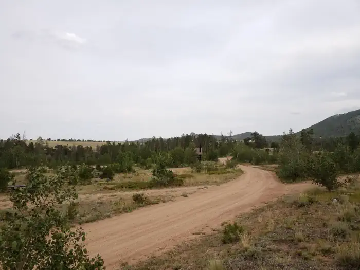 Yellow Pine CG near site 15