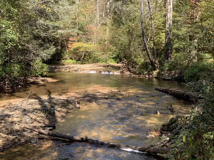 Fishing Area near the Cooper Creek Loop