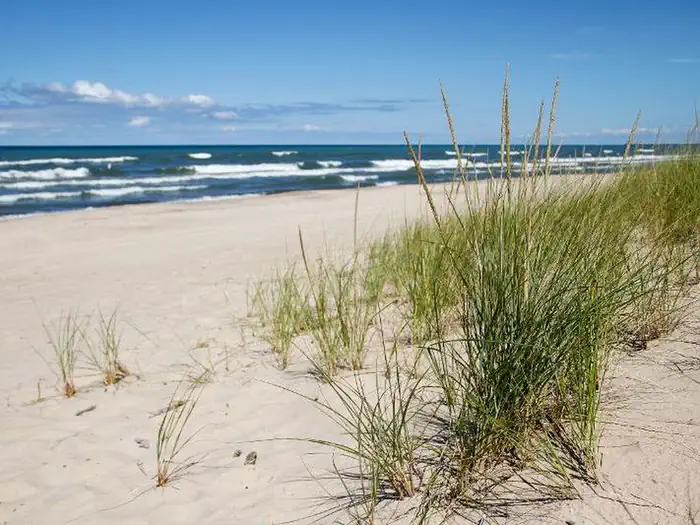 Grasses on a sandy beach near Mt. Baldy