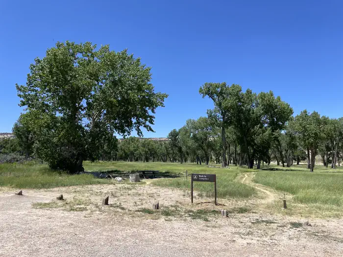 A photo showing the entire campground area of Deerlodge Park Campground with Cottonwood Trees