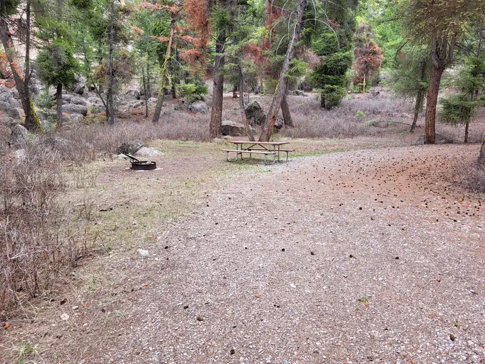 Campsite 4