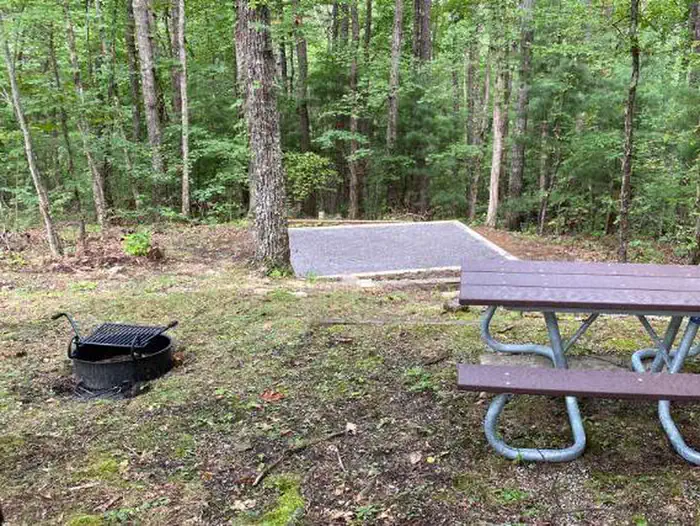 Look Rock Campsite view