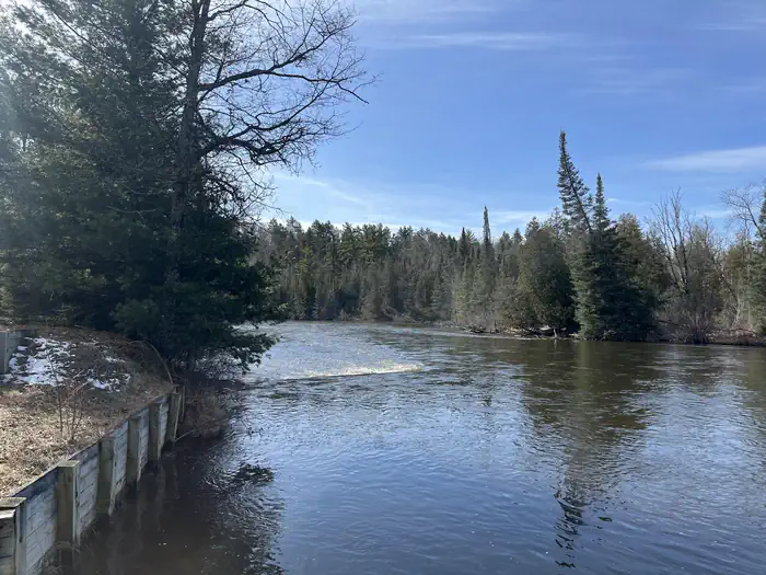 View of the Au Sable River from Au Sable Loop Area