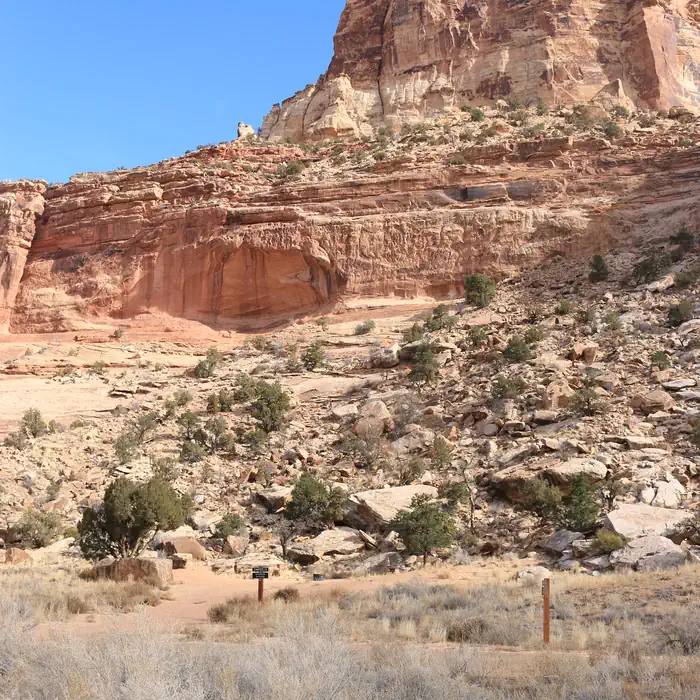 Two campsites are tucked into an alcove surrounded by tan cliffs and slope of rockfall