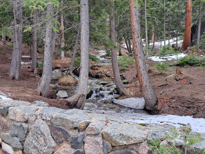 Campbell Creek