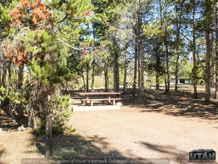 Stateline Site 1