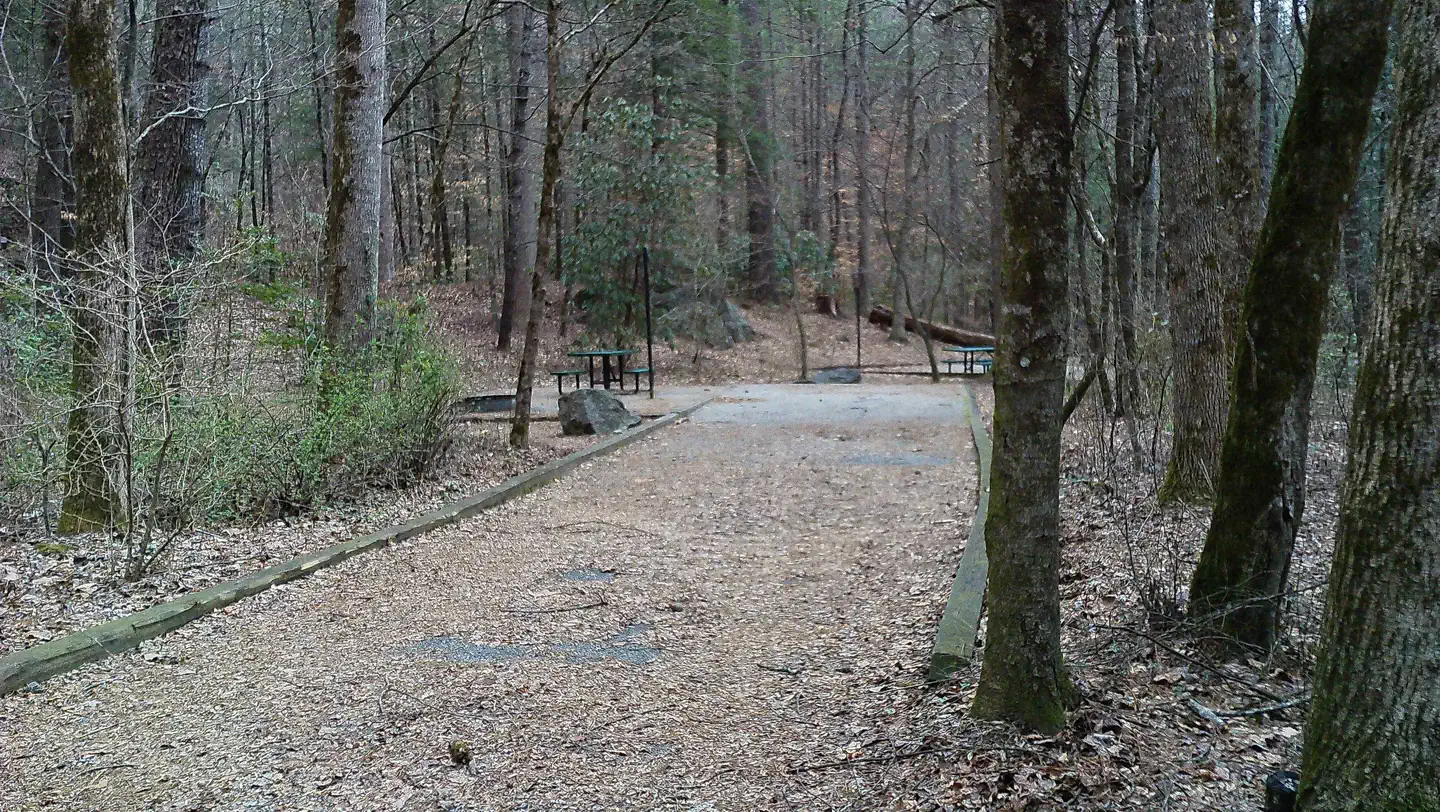 Campsite 13