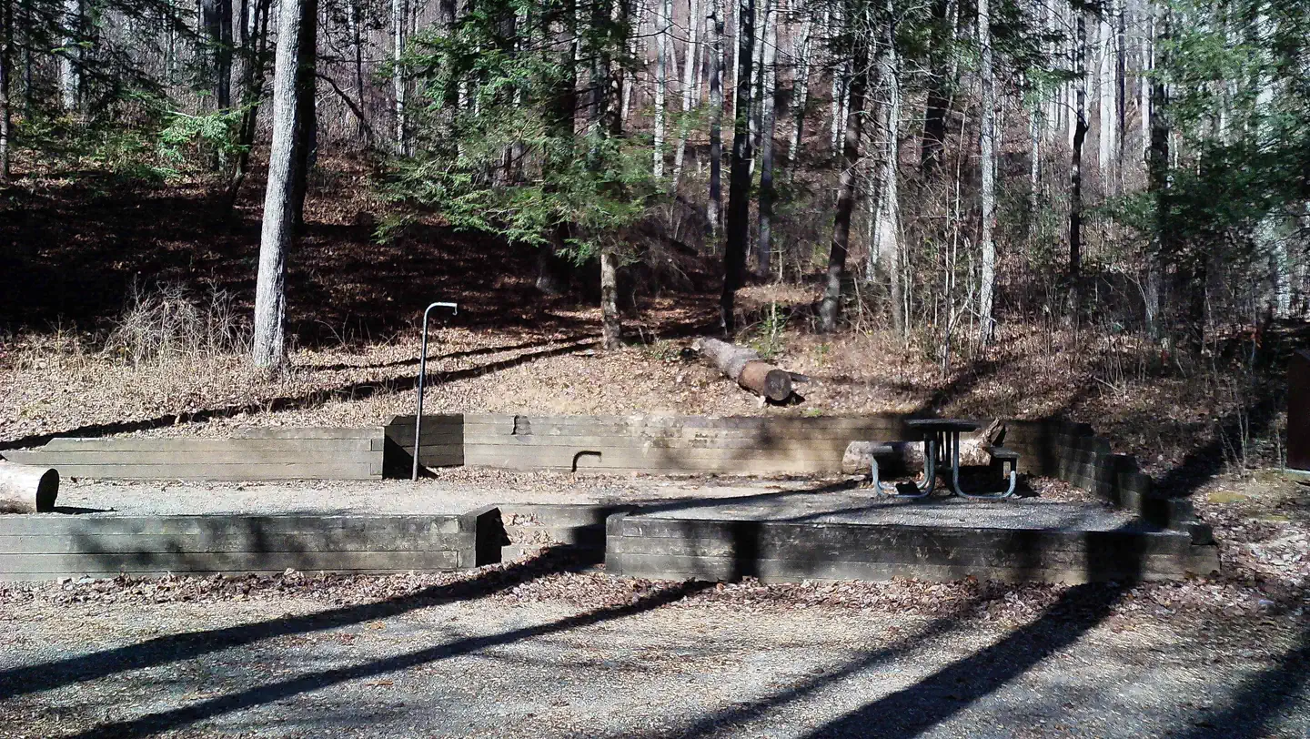 Campsite #12