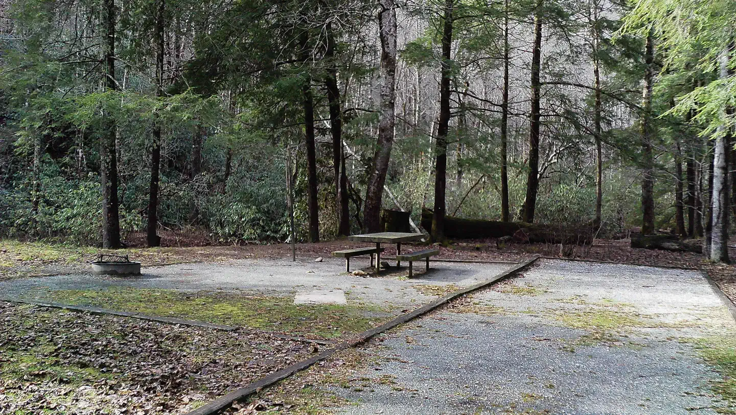 Campsite #4