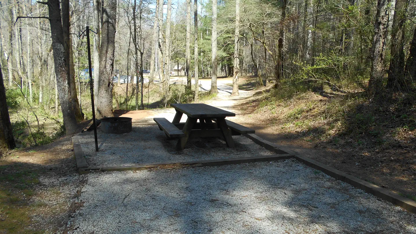 Sarah's Creek Campground  (Clayton, GA)