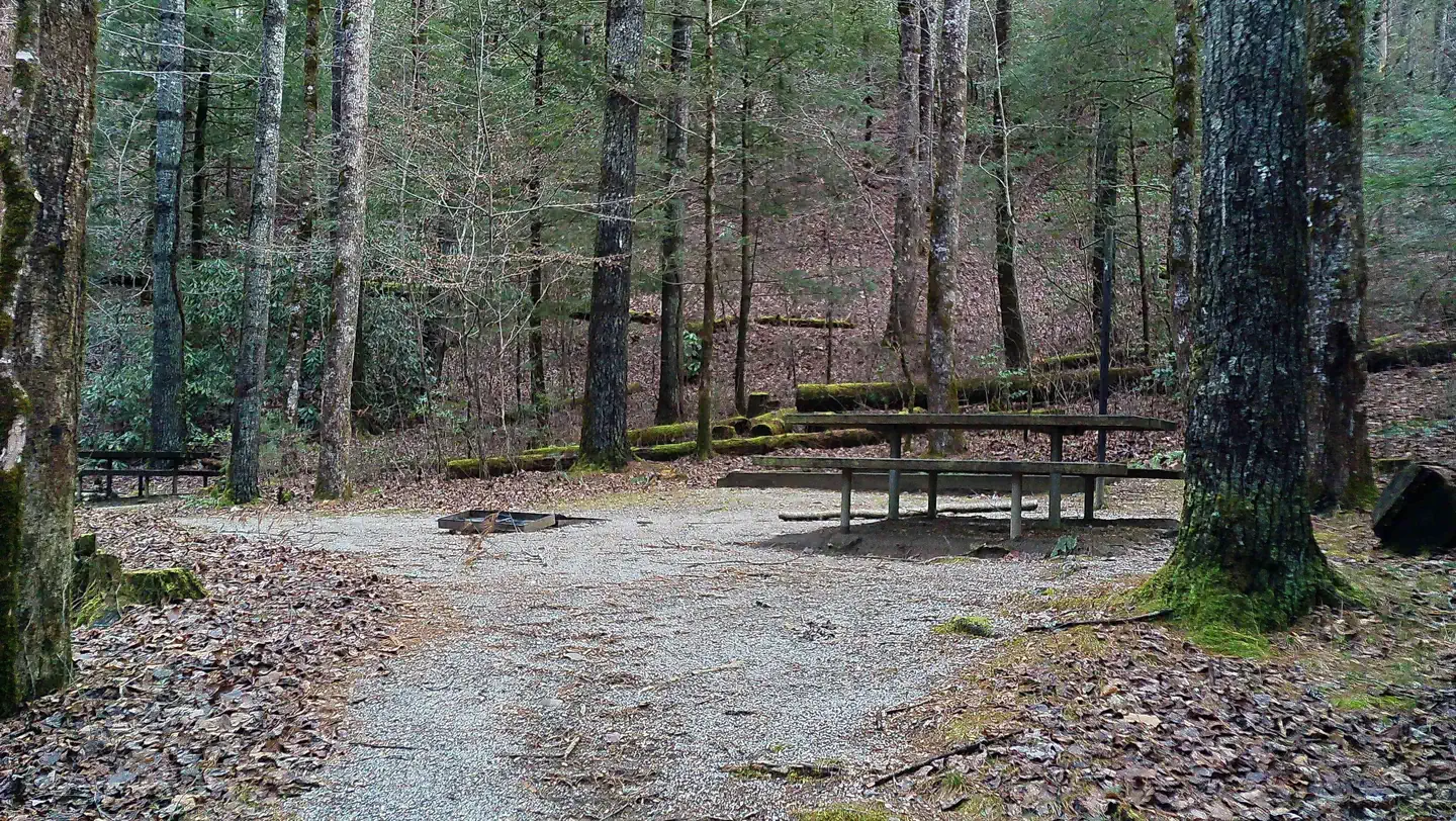 Campsite #15