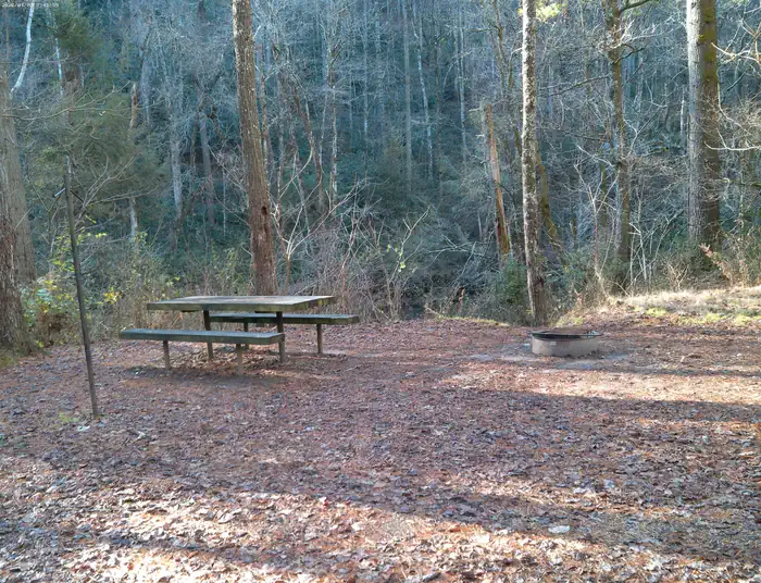 Campsite #4