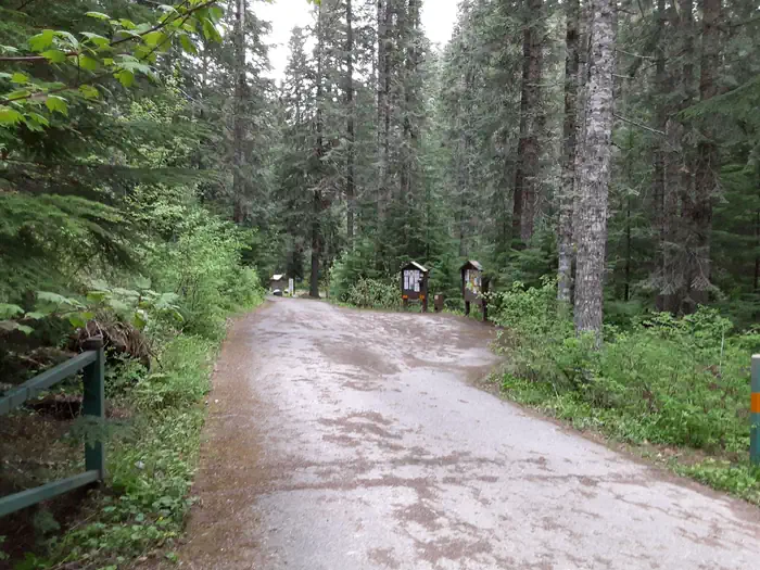 Honeysuckle Entrance