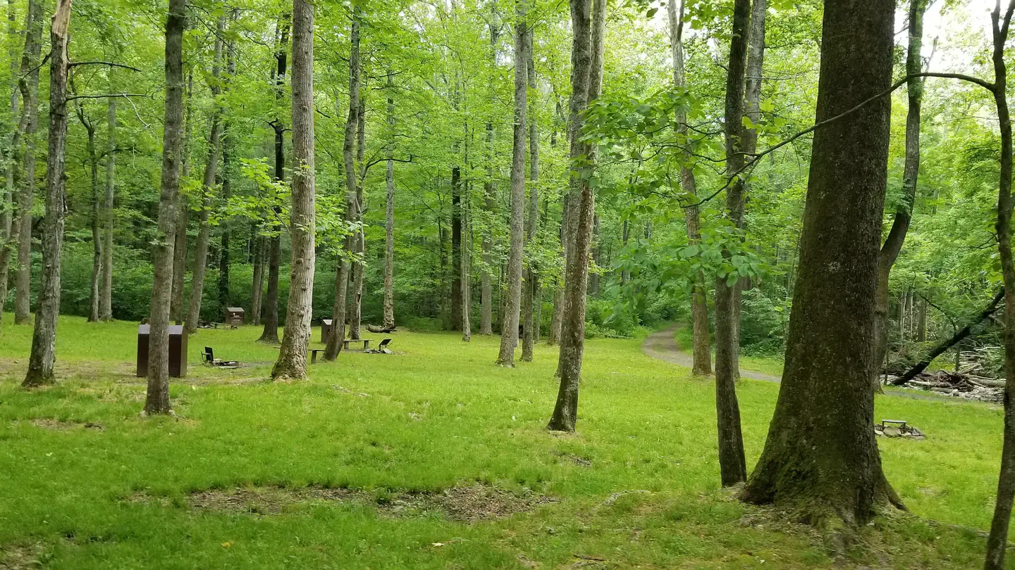 Rock Castle Gorge Backcountry Camping