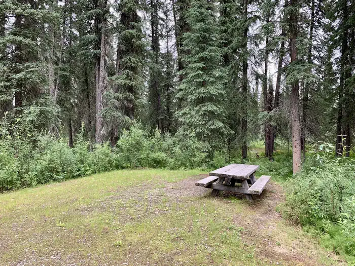 Typical Campsite in Ophir Creek Campground