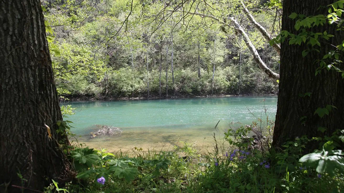 Lower Current District Backcountry Campsites