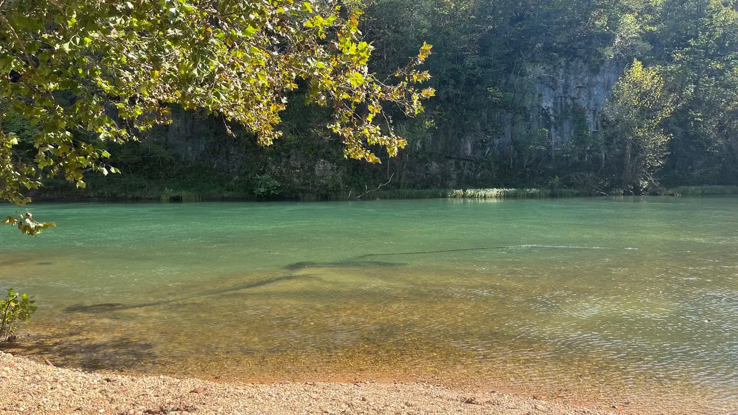 Upper Current District Backcountry Campsites