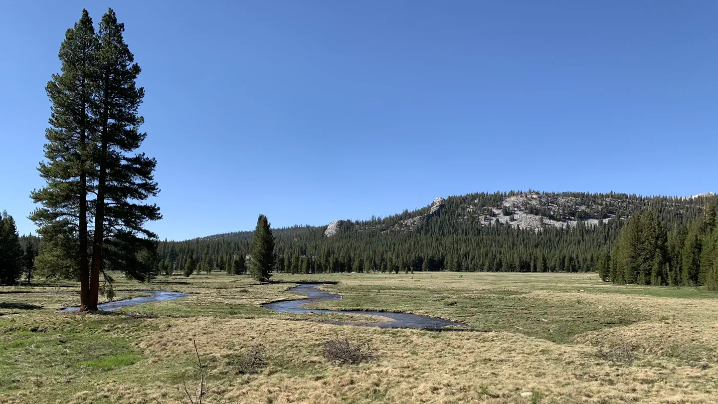 Tuolumne Horse Campsites