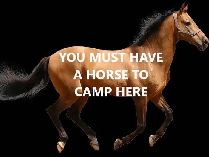 You must have a horse to camp here