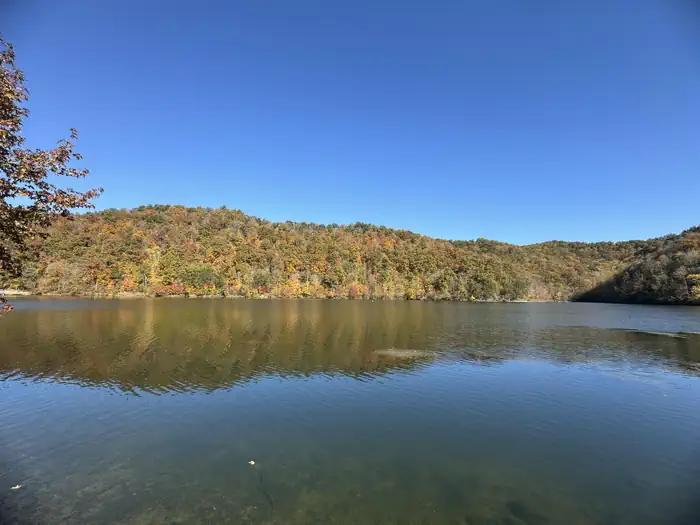 Fall foliage views from Dewey Lake Campground Shoreline Sites while looking towards the lake.