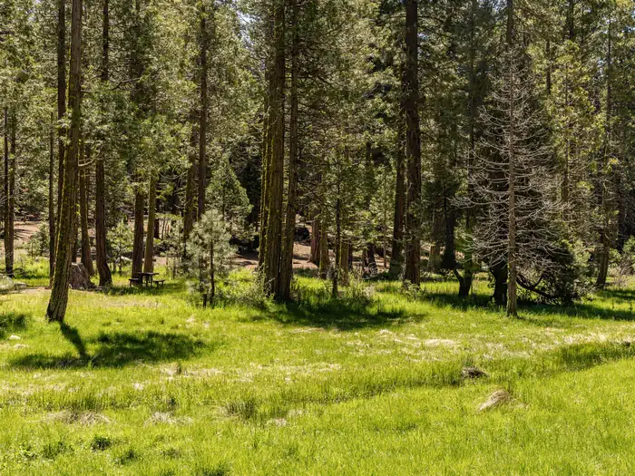 Meadowview Campground Meadow