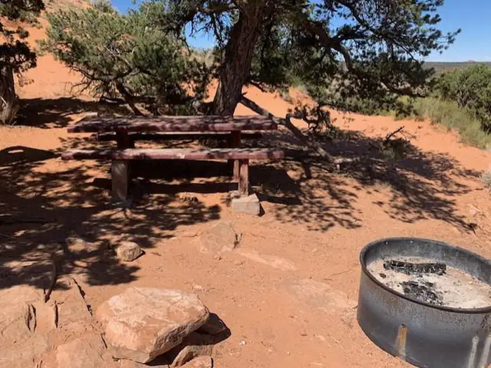 A campsite at Hatch Point Campground with a picnic table and fire ring, shaded by a pinon pine tree.