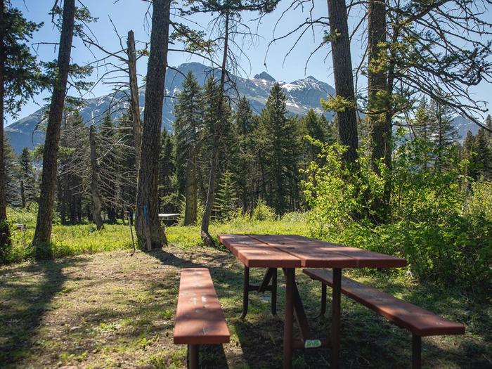Picnic table in the foreground with grass, bushes, and trees nearby.  A mountain can be seen in the distant background.