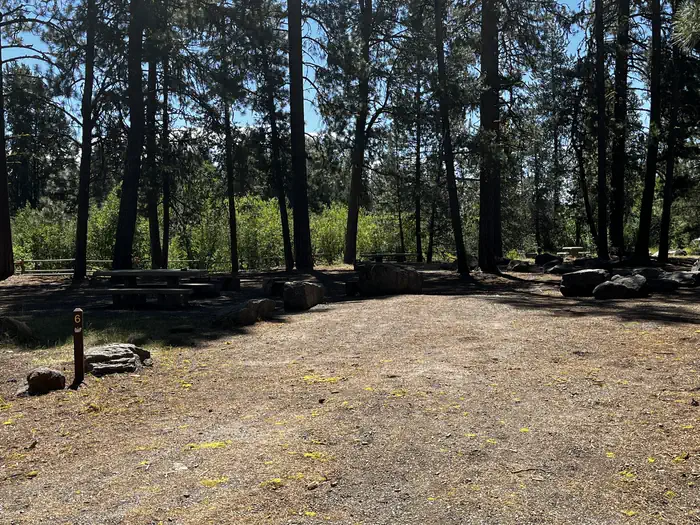 Campsite 6