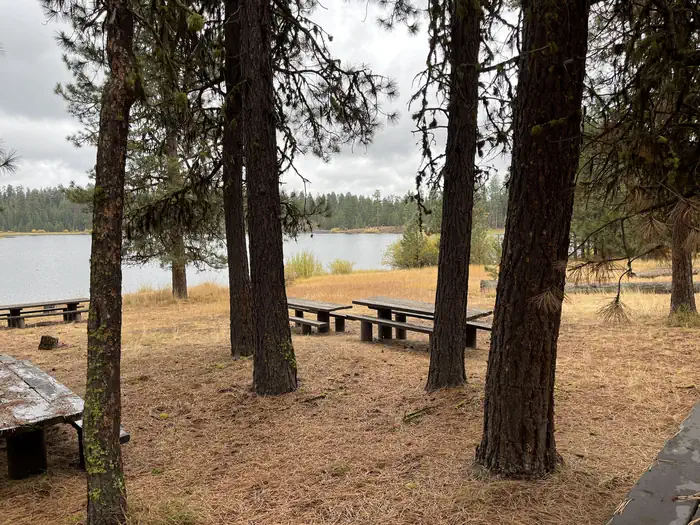 picnic tables looking towards lake