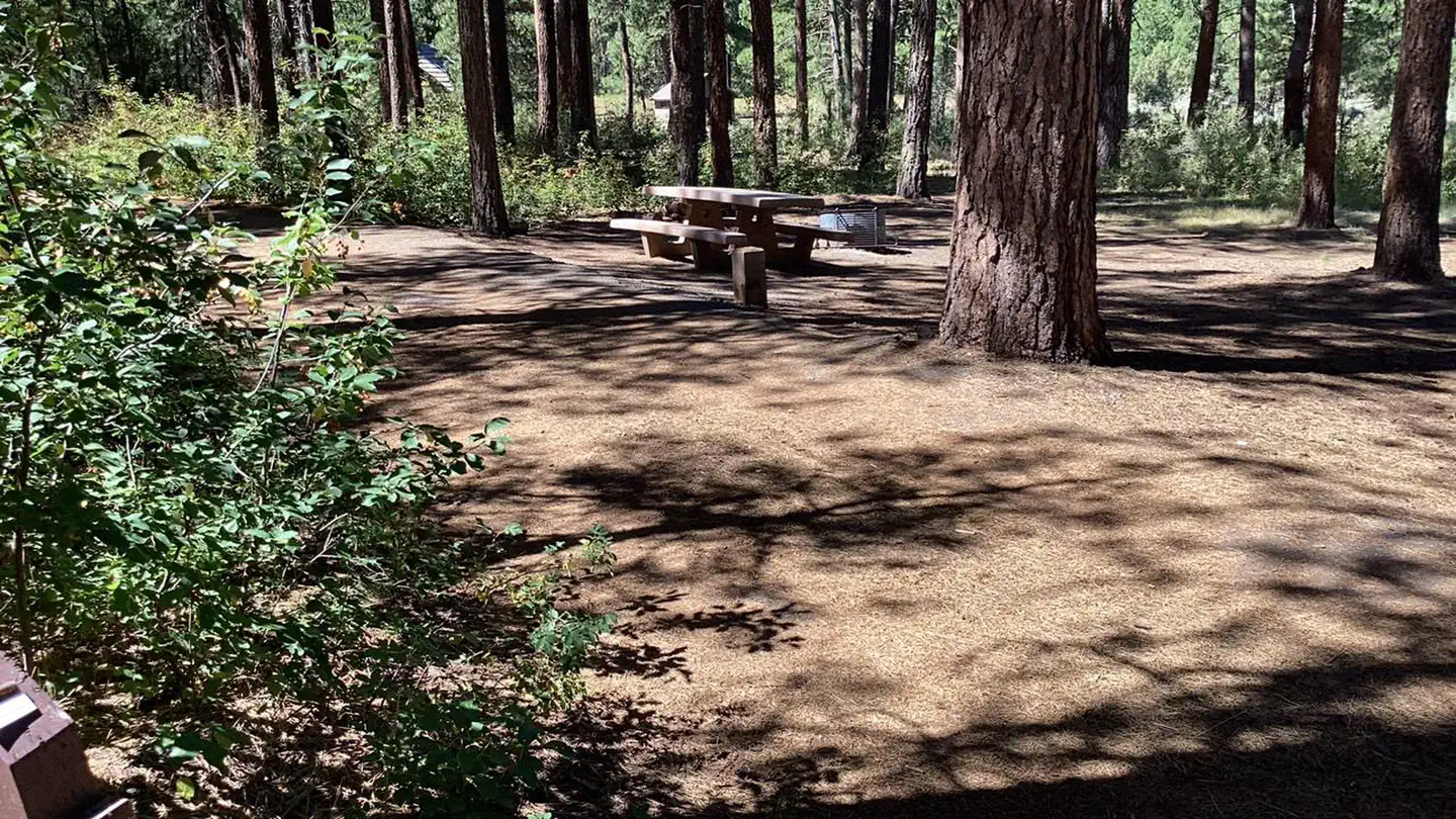 Idlewild Campground