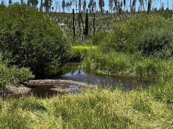 Bear Creek on edge of campground